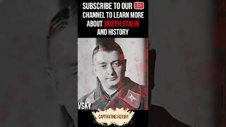 What Happened during Stalins Great Terror shorts [upl. by Ykcaj]