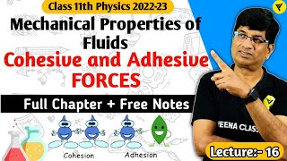 Cohesive Force and Adhesive Force class 11  Mechanical Properties of Fluids  Fluids Mechanics [upl. by Heffron]