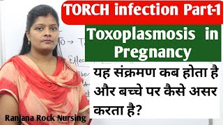 TORCH infection part 1 causes and symptoms of toxoplasmosis during pregnancy in hindi by ranjana [upl. by Nnylaf]