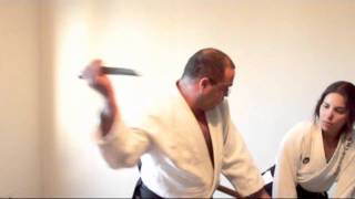 Ogawa Ryu Iaijutsu  Iaidori  Training Moments [upl. by Schoenburg]