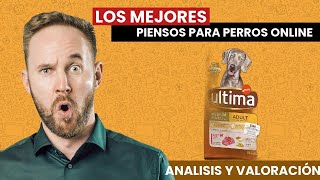 Los mejores PIENSOS para PERRO ONLINE [upl. by Retswerb]