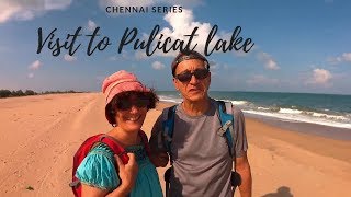 Visit to Pulicat Lake [upl. by Nnylacissej]