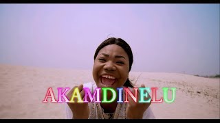 Mercy Chinwo  Akamdinelu  Instrumental Cover [upl. by Ettore]