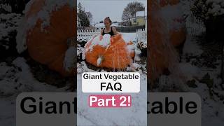 ❓ Giant vegetable FAQ  Part 2 [upl. by Eical]