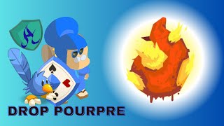 Dofus Retro le Drop de Dofus Pourpre [upl. by Eicarg490]