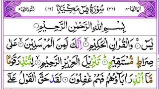 The Heart of the Quran  Surah Yasin Recitation [upl. by Jae]