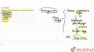 Explain briefly the followingterm with suitable example  i protonemaii antheridiumiii ar [upl. by Violetta257]