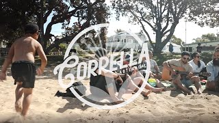 Corrella  Summertime in Aotearoa Music Video [upl. by Silado]