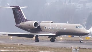 Silverbird Gulfstream G450 Landing at Bern Airport  Special Livery [upl. by Naujat]