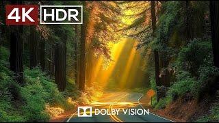 4K Video ULTRA HD 120 FPS  Best of 4K HDR Dolby Vision [upl. by Celestyna]