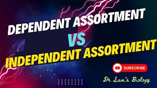 Dependent Assortment vs Independent Assortment [upl. by Namhcan377]