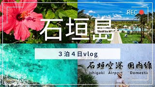 【石垣島 旅行】ユーグレナモール周辺のおすすめグルメと買い物【vlog】 [upl. by Pansy]