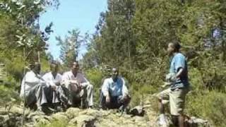 Tsegaye Sime Seboye Sima Guragigna Music [upl. by Rawdan50]