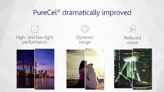 OmniVision PureCel® Technology Overview [upl. by Carlina48]