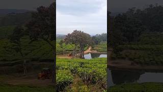 Charliekulam Malayalam movie location [upl. by Anerehs]