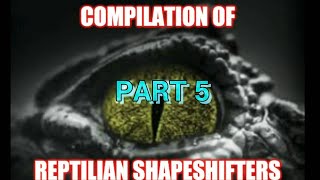 Reptilian Shapeshifter Compilation Part 5 [upl. by Macfarlane]