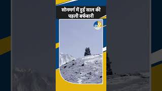 Shorts Sonmarg में हुई साल की पहली बर्फबारी।Snowfall।Jammu Kashmir [upl. by Trofmoc]