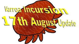 The Aussie Varroa Invasion 16th August Update [upl. by Ahsitruc945]