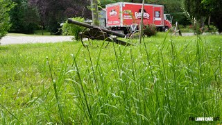 Her Grandmother PASSED Away and She is HOURS Away  Mowing Overgrown Lawn with Battery Mower [upl. by Anson317]