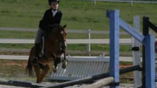 Having Horse Show Fun with the Lanier Equestrian Association [upl. by Nilerual263]