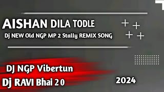 AISHAN DILA TODLE KI Dj NGP RMX Dj RAVI Bhai 2 0 Vibertun MP 2 Stally RMX SONG 2024 [upl. by Chad]