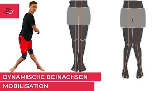 Dynamische Beinachsen Mobilisation  Knie  Hüfte  Sprunggelenke und OBeine sagen danke [upl. by Bissell]