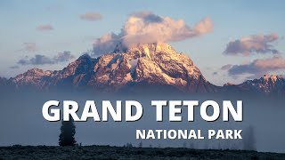 36 Hours in Grand Teton National Park Chasing Wildlife and Fall Colors [upl. by Bertrando]