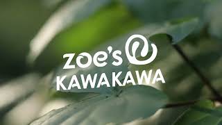 Zoes Kawakawa  New Zealand Made Skincare [upl. by Anitra]