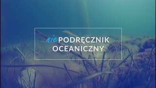 Niepodręcznik Oceaniczny odc70 quotSejszaquot [upl. by Ramburt]