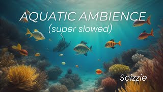 Aquatic Ambience  Scizzie super slowed [upl. by Donia]