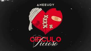 Aneeudy  CIRCULO VICIOSO Video Cover [upl. by Cardie]