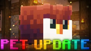 THE NEW PET UPDATE IS AMAZING Hypixel Skyblock IRONMAN [upl. by Negeam]