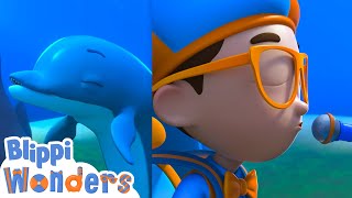 Blippi learns to speak with Dolphins  Blippi Wonders Educational Videos for Kids [upl. by Notnil]