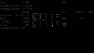 Swap Nasıl Kapatılır 🔄 shorts linux shell [upl. by Dowd679]