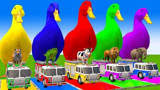 5 Giant Duck CartoonCowElephantTigerLionGorilla Paint Wild Animals Crossing Fountain Animation [upl. by Elbert]