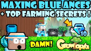 THE BEST FARMING TIPS IN GROWTOPIA  GrowTopia Profit 2023 [upl. by Berwick]