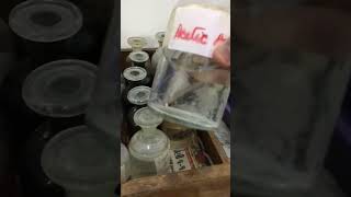 Acetic Acid 💀🧪🧫⚗️💥 science scienceexperiments experiment chemistry viral lab laboratory yt [upl. by Gareri]