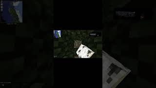 KRASSESTER VERSPRECHER IN Minecraft [upl. by Rawlinson]