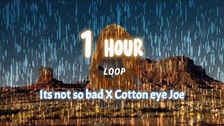 Its not so bad X Cotton eye Joe  Very SAD nugget CAT Gegagedigedagedago 1 HOUR loop [upl. by Amaryl]