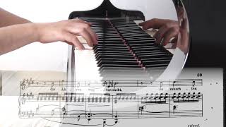 Robert Schumann Liederkreis op 39  05  Mondnacht [upl. by Henrik]