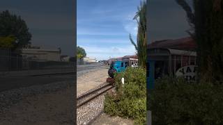 TRAINS AM22 Bub Bluebird Kestrel RedHens it’s all happening at NRM Port Adelaide 121024 [upl. by Camp452]