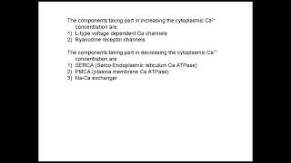 Excitation Contraction Coupling [upl. by Littell464]