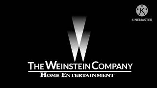 The Weinstein Company Home Entertainment Logo Remake [upl. by Ahsitaf]