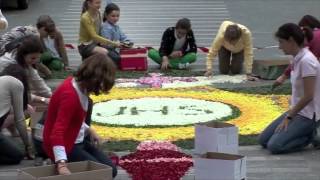 Alfombra floral Corpus Christi 2012 [upl. by Karwan]