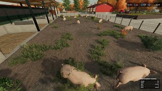 FS22 The Western Wilds Frontiersman Series  50  Buying amp Feeding 500 German Landrace Pigs [upl. by Atinrehs]