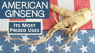 What is American Ginseng Most Prized Uses  How Its Different Than Asian [upl. by Dehnel]