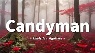 Christina Aguilera  Candyman Lyrics [upl. by Ysnil]