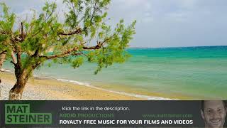 Mexican Hat Jarabe Tapatio  RoyaltyFree Music [upl. by Tolmann]