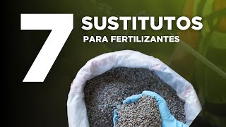 7 Sustitutos para fertilizantes de síntesis química [upl. by Chimene]