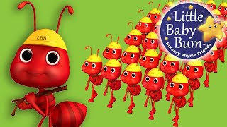 🐜 The Ants Go Marching  Classic Nursery Rhymes for Kids  Fun Kids Songs 🎶 [upl. by Preiser276]